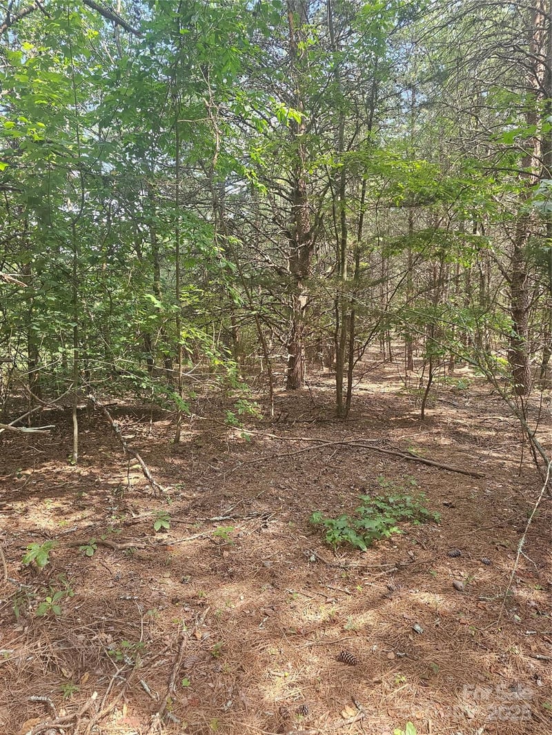 Green Creek Dr, Tryon, NC 28782