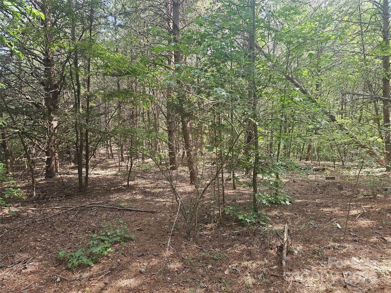 Green Creek Dr, Tryon, NC 28782