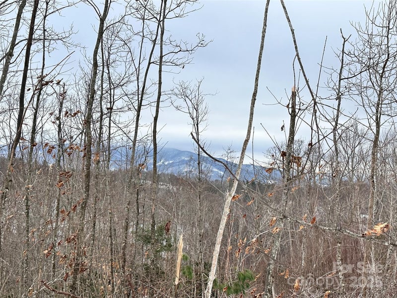 0000 Lot 78 Black Bear Crossing, Elk Park, NC 28622