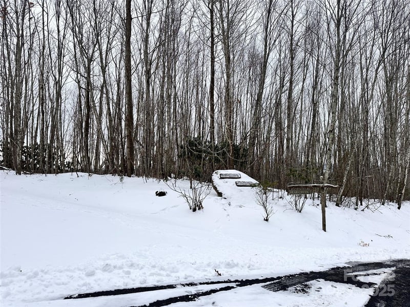 0000 Lot 78 Black Bear Crossing, Elk Park, NC 28622
