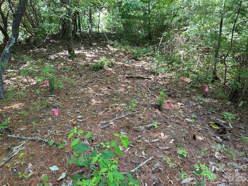 TBD Emma Bri Ln #10, Hendersonville, NC 28739