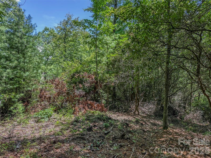 TBD Emma Bri Ln #10, Hendersonville, NC 28739