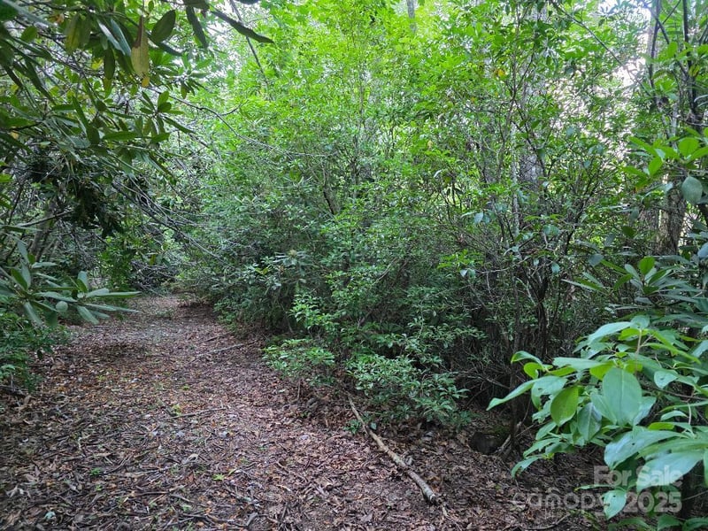 LOT 2 Pine Ridge Rd, Burnsville, NC 28714