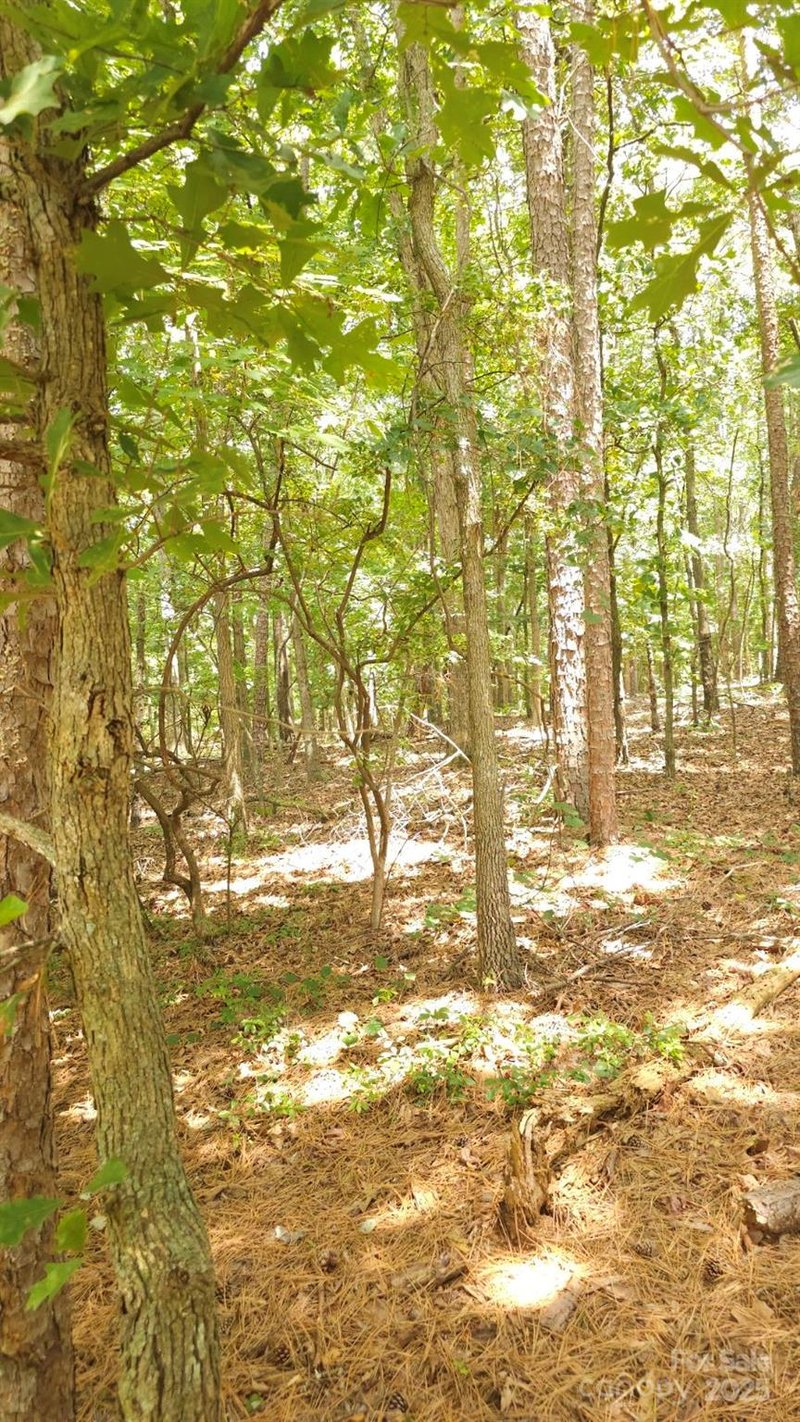 TBD Traywick Rd, Peachland, NC 28133