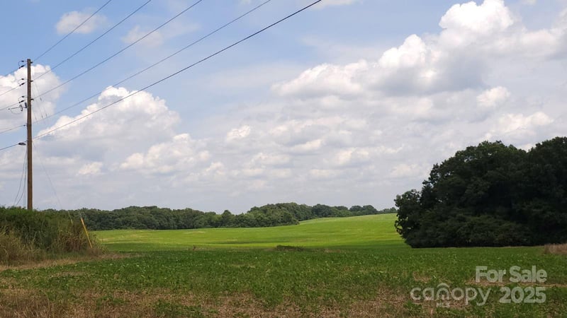 TBD Traywick Rd, Peachland, NC 28133