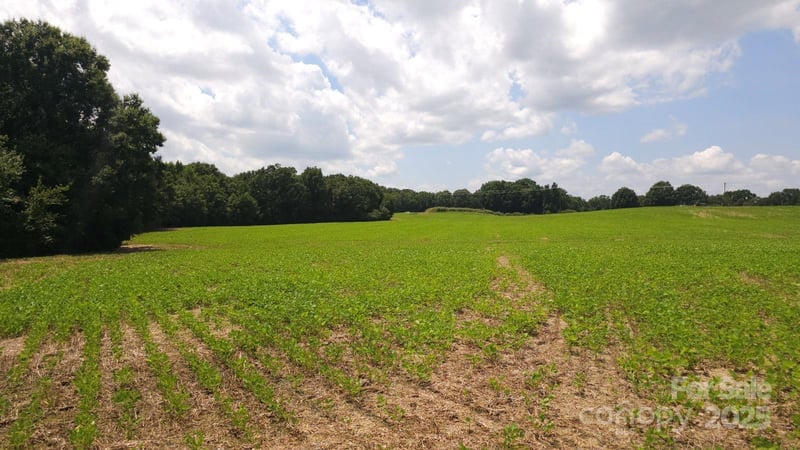 TBD Traywick Rd, Peachland, NC 28133