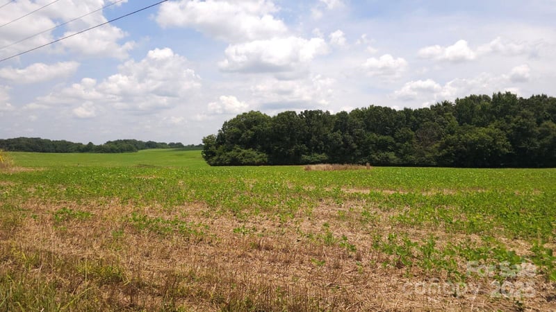 TBD Traywick Rd, Peachland, NC 28133