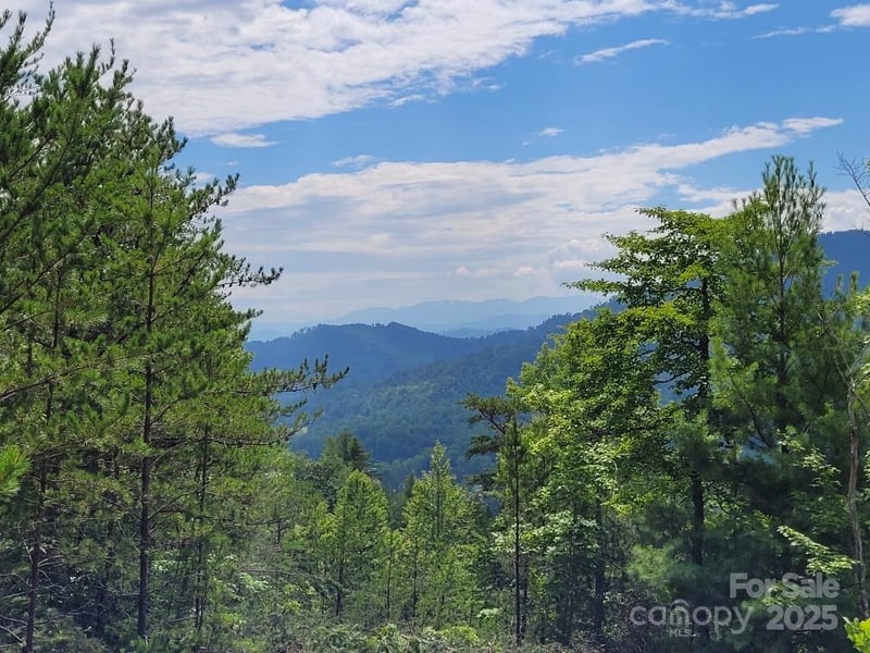 Oconee Dr, Marion, NC 28752