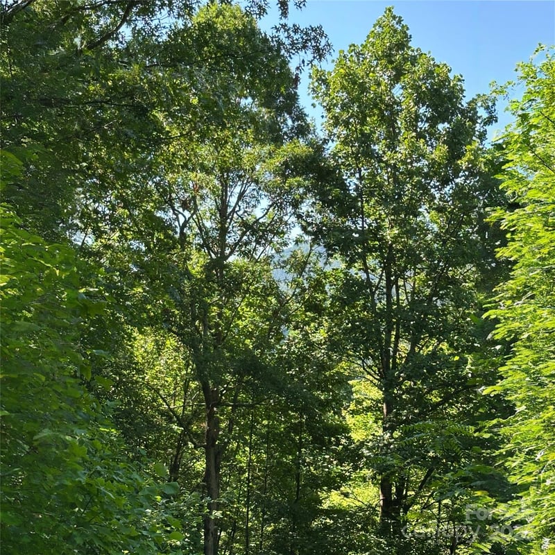 33 Nuthatch Ln #T-84, Black Mountain, NC 28711