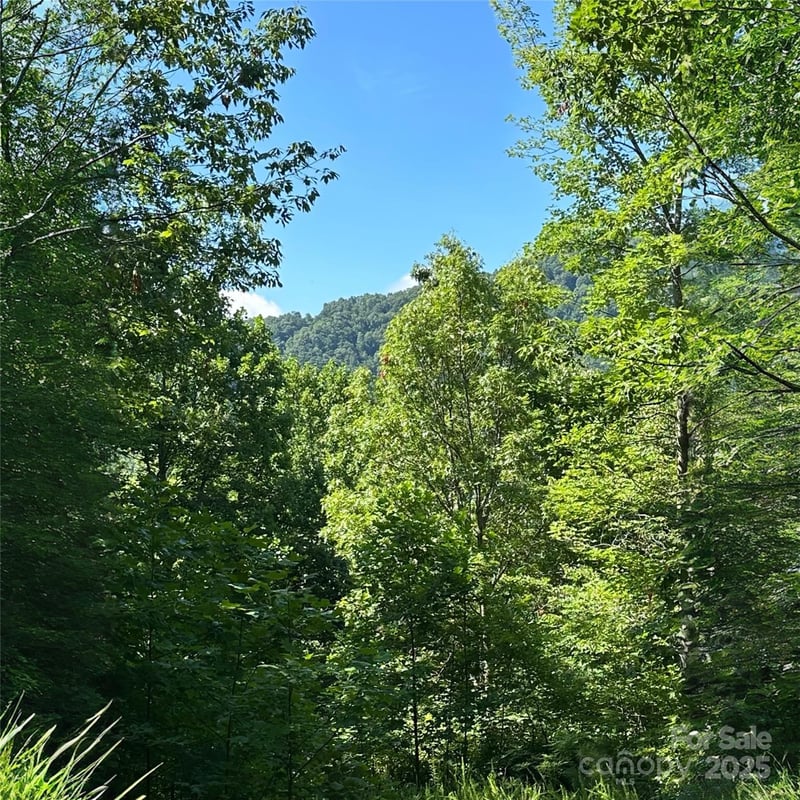 33 Nuthatch Ln #T-84, Black Mountain, NC 28711