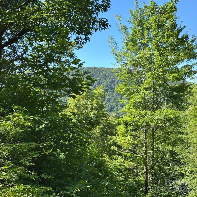 33 Nuthatch Ln #T-84, Black Mountain, NC 28711