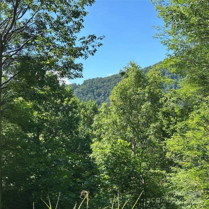 33 Nuthatch Ln #T-84, Black Mountain, NC 28711