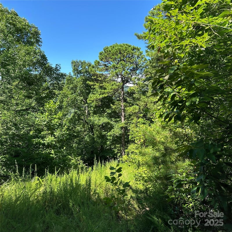 33 Nuthatch Ln #T-84, Black Mountain, NC 28711