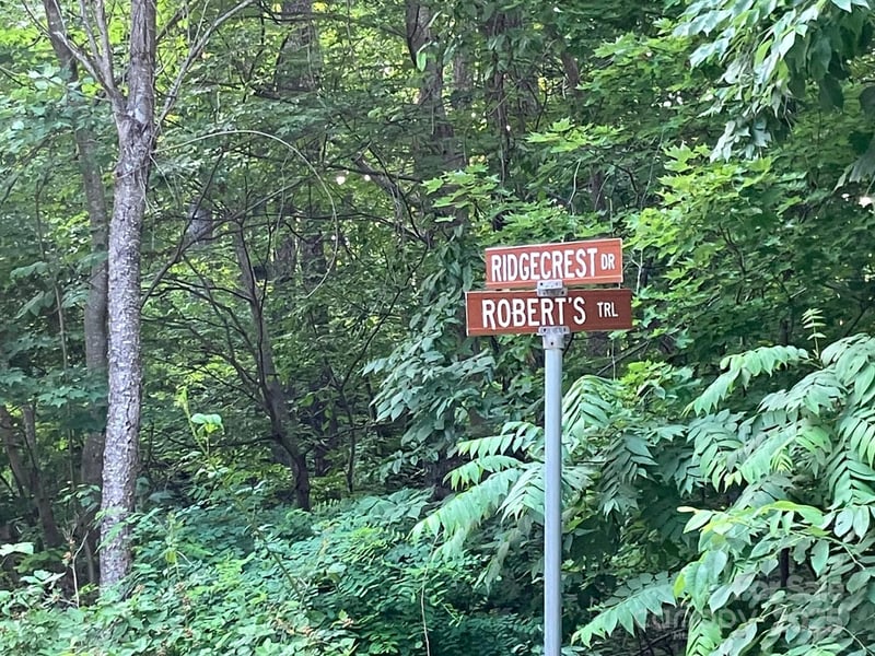00 Roberts Trl LOT 429, Lake Lure, NC 28746