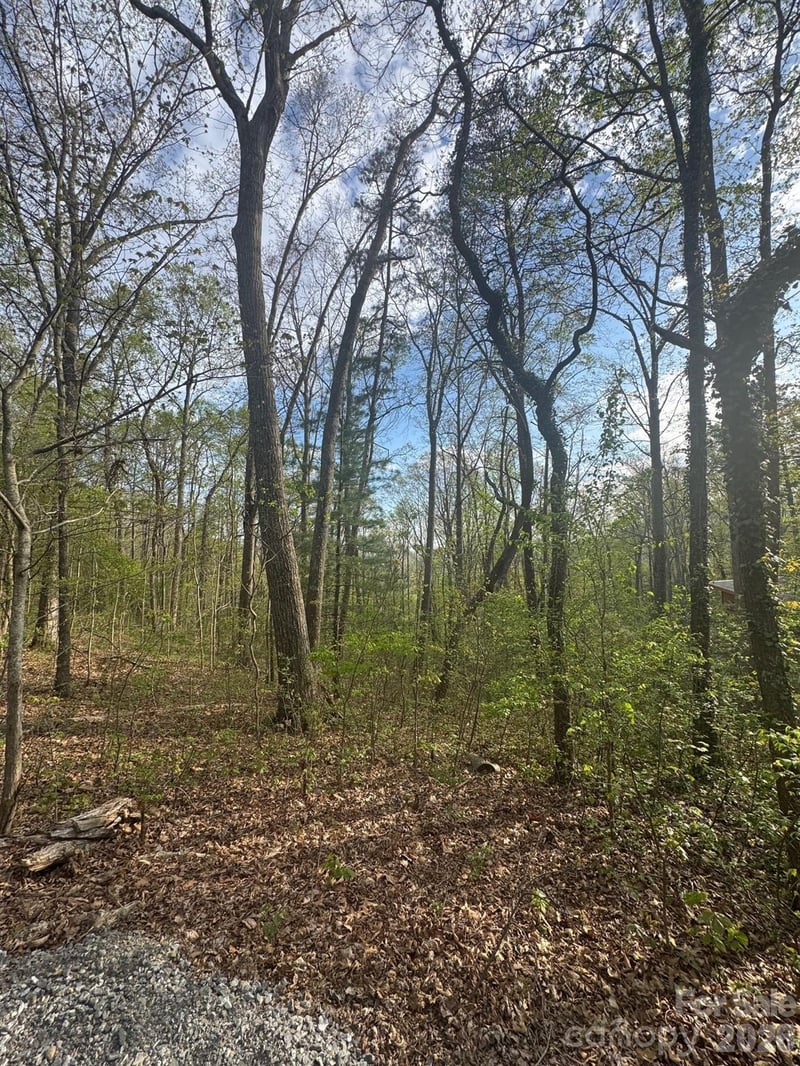 99999 Buffalo Trl #86, Asheville, NC 28805