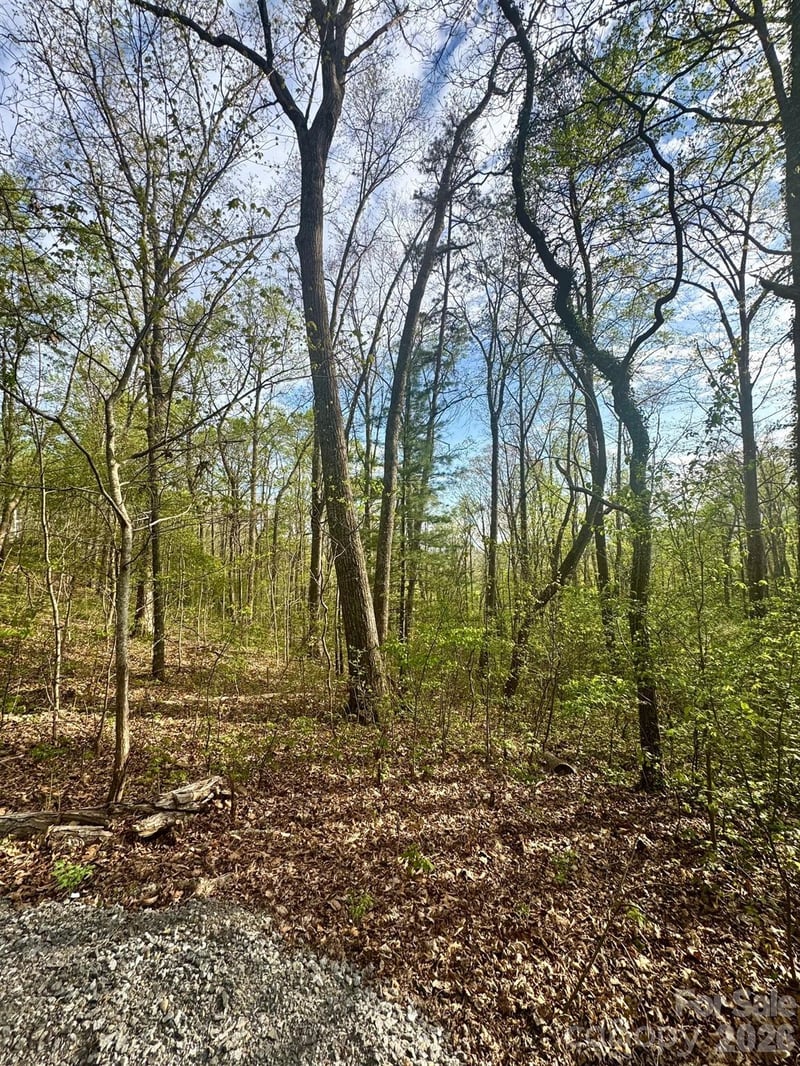 99999 Buffalo Trl #86, Asheville, NC 28805