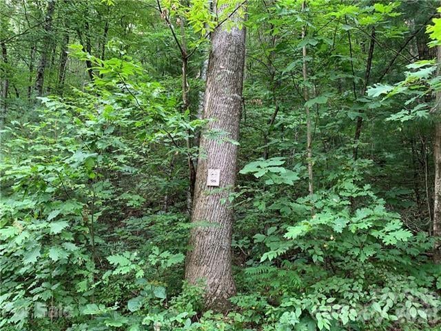 0000 Peppervine Cir #98, Rosman, NC 28772