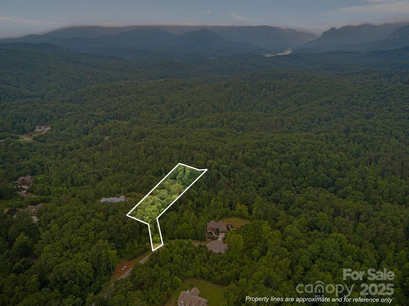 99999 Deer Jump Trl #348, Lake Lure, NC 28746