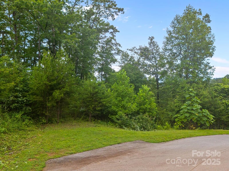 99999 Deer Jump Trl #348, Lake Lure, NC 28746