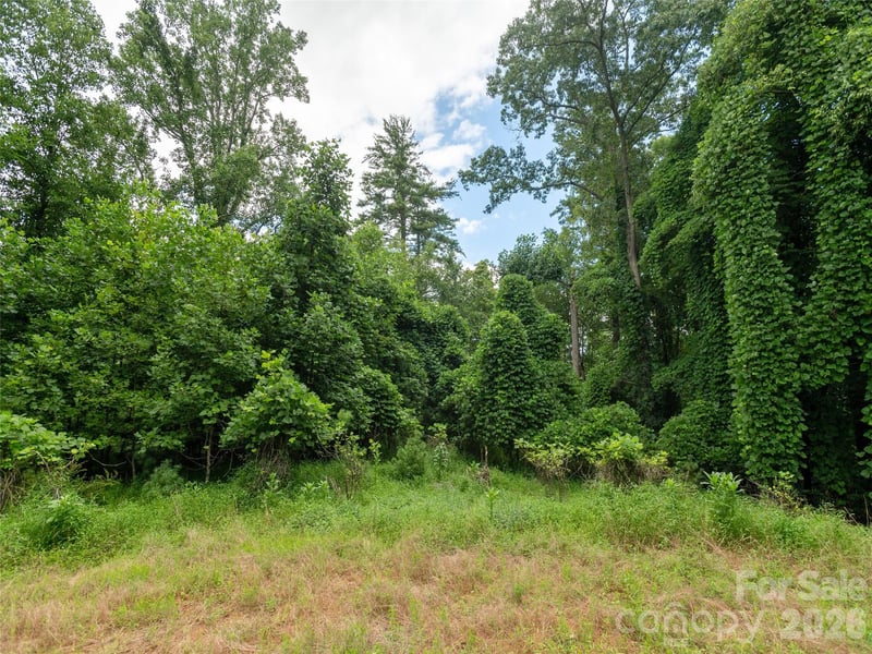 Willow Falls Ln, Hendersonville, NC 28792