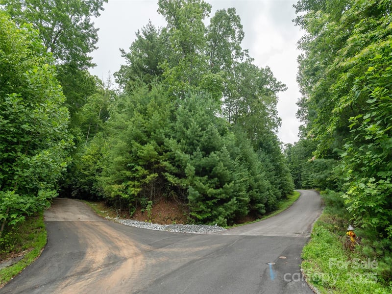 Willow Falls Ln, Hendersonville, NC 28792