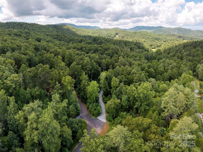 Willow Falls Ln, Hendersonville, NC 28792