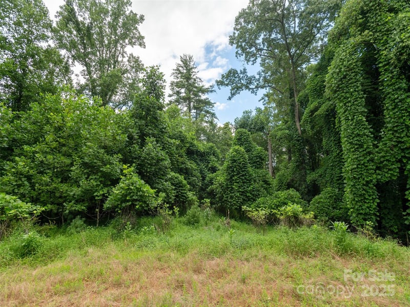 Willow Falls Ln, Hendersonville, NC 28792