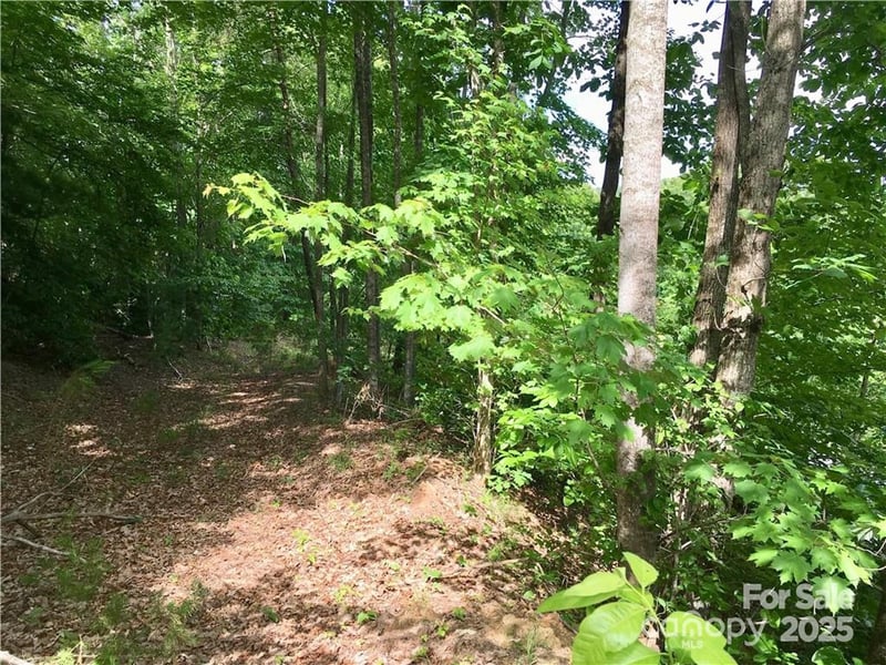 Round Mountain Pw #44, Lenoir, NC 28645