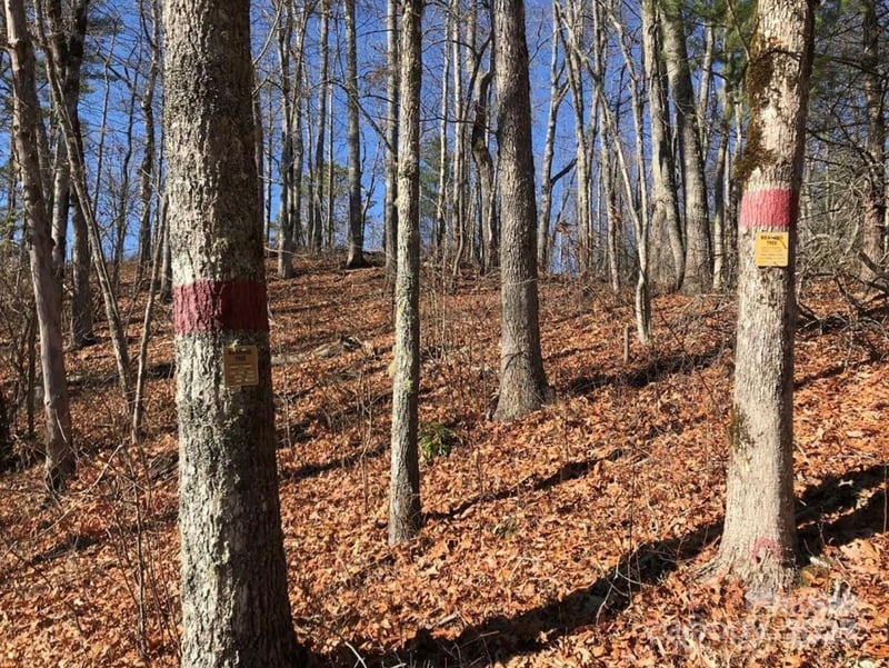 Saturn Way, Topton, NC 28781