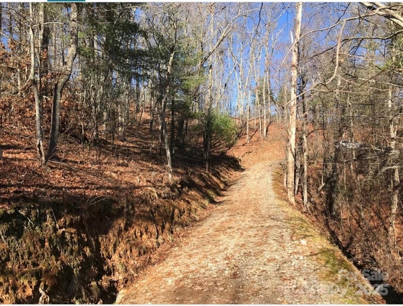 Saturn Way, Topton, NC 28781