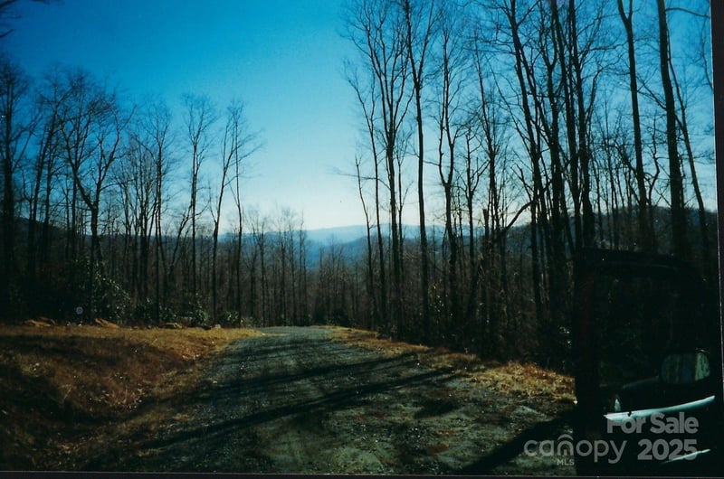 Damselfly Ct, Spruce Pine, NC 28777