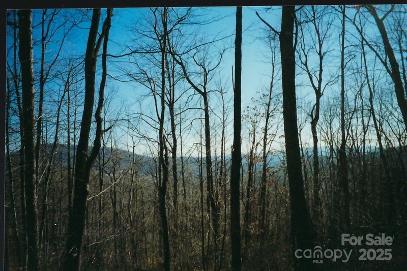 Damselfly Ct, Spruce Pine, NC 28777