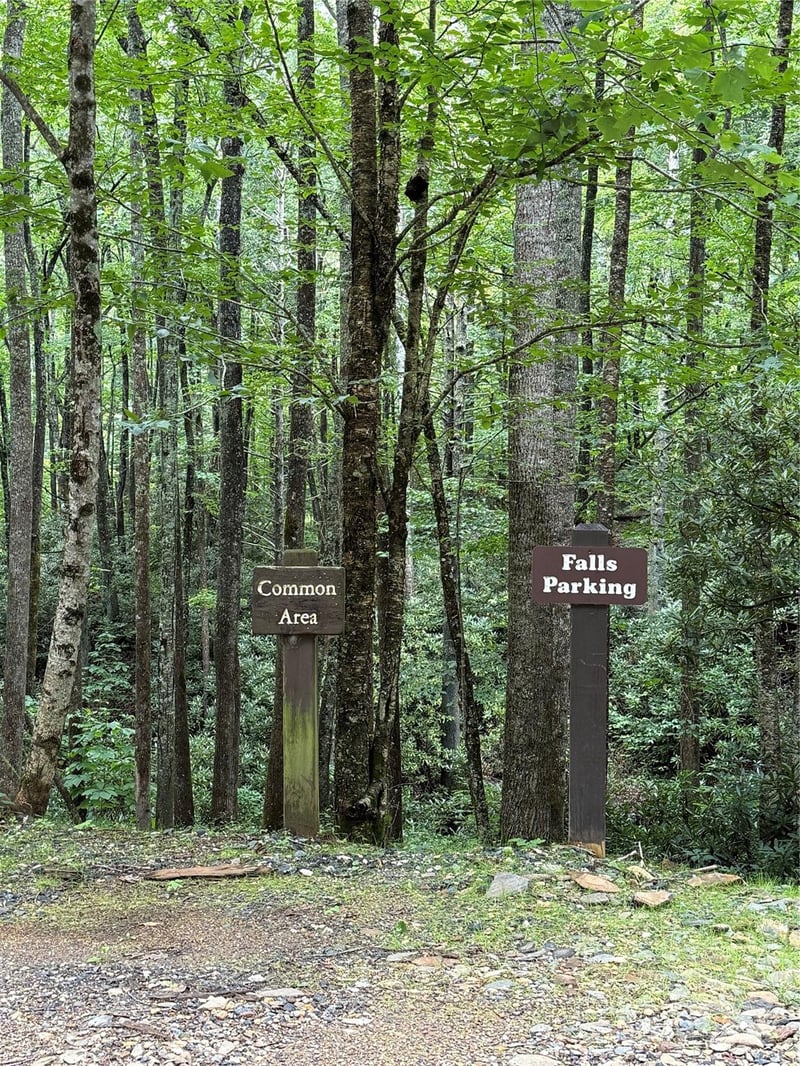 Damselfly Ct, Spruce Pine, NC 28777