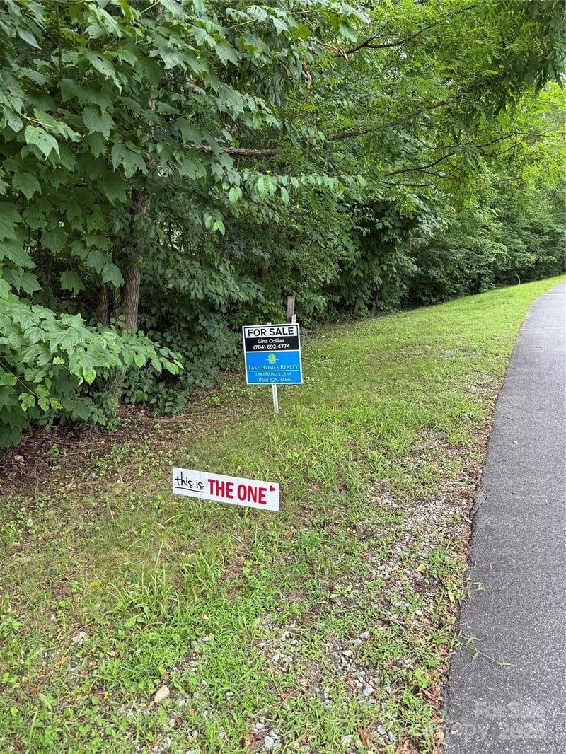 Damselfly Ct, Spruce Pine, NC 28777