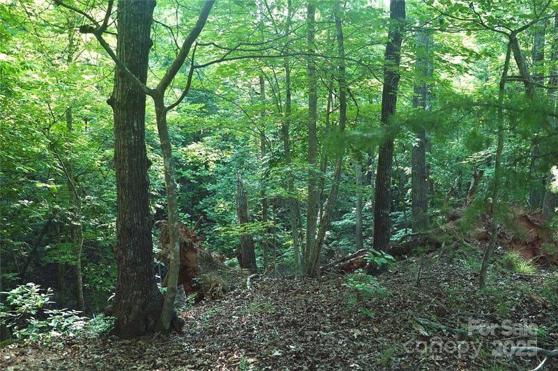 Parkway North None #13, Mill Spring, NC 28756