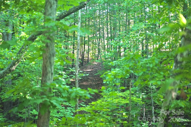 Parkway North None #13, Mill Spring, NC 28756