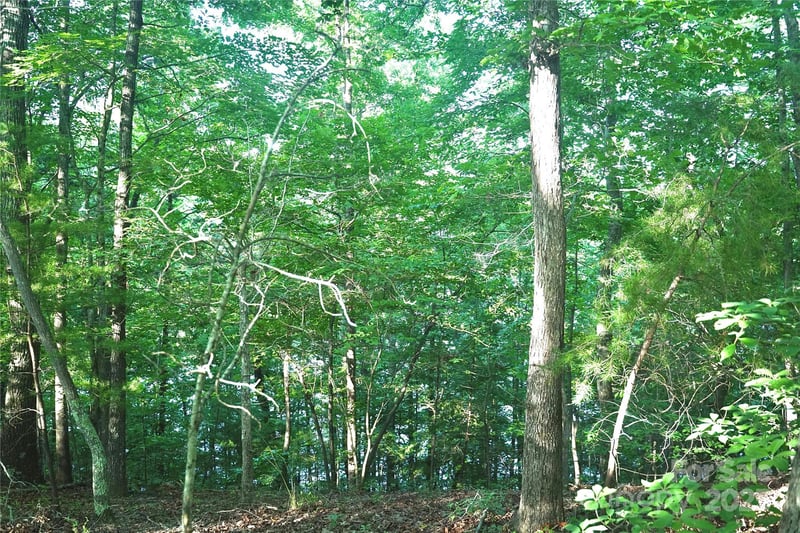 Parkway North None #13, Mill Spring, NC 28756