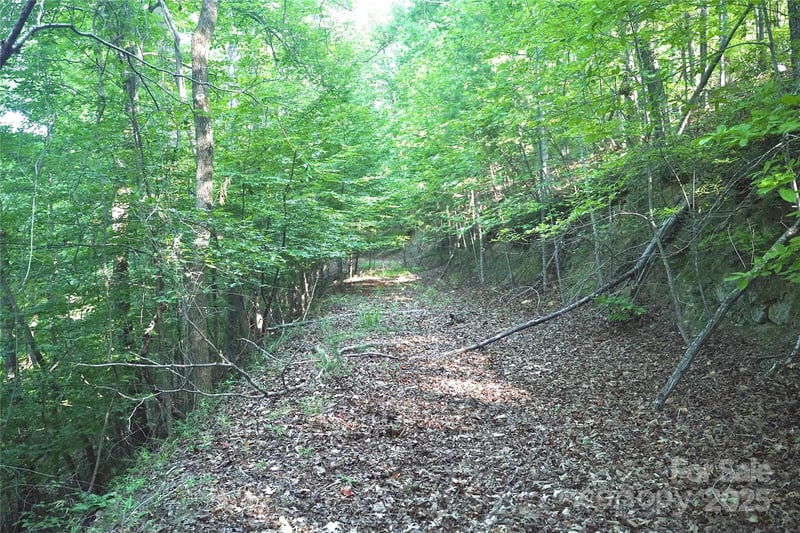 Parkway North None #13, Mill Spring, NC 28756