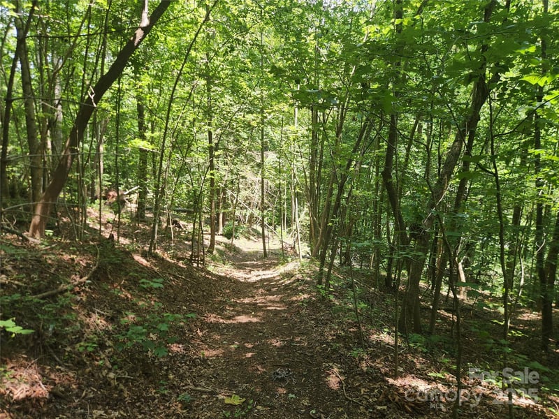2003 Zacks Fork Rd, Lenoir, NC 28645