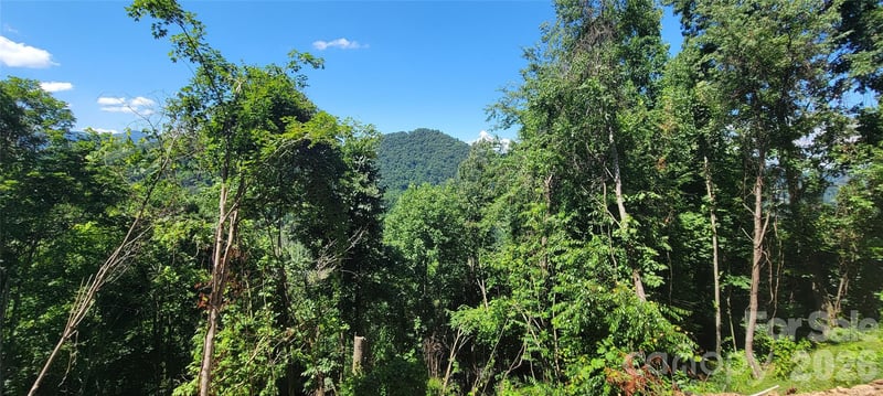 37 Destination Dr, Waynesville, NC 28786