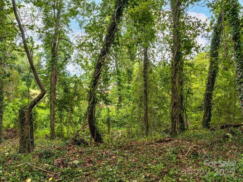 99999 Windsor Rd, Asheville, NC 28804