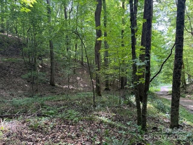 Cane Mountain Ln, Burnsville, NC 28714