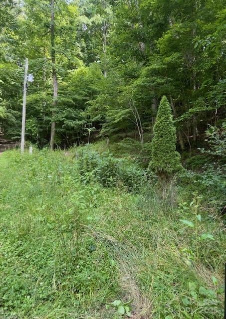 Cane Mountain Ln, Burnsville, NC 28714