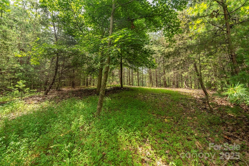 LOT 46 Black Forest Dr, Marion, NC 28752