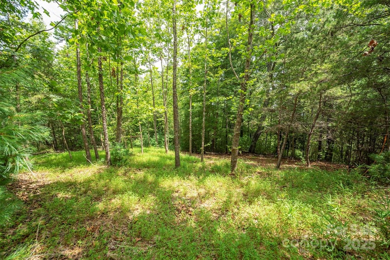 LOT 46 Black Forest Dr, Marion, NC 28752