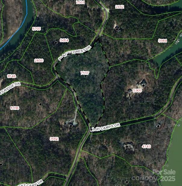 LOT 46 Black Forest Dr, Marion, NC 28752