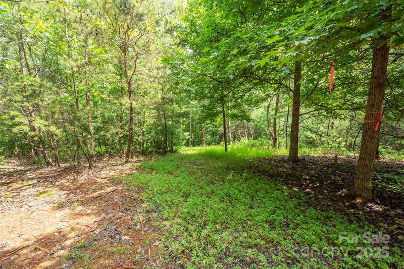 LOT 46 Black Forest Dr, Marion, NC 28752