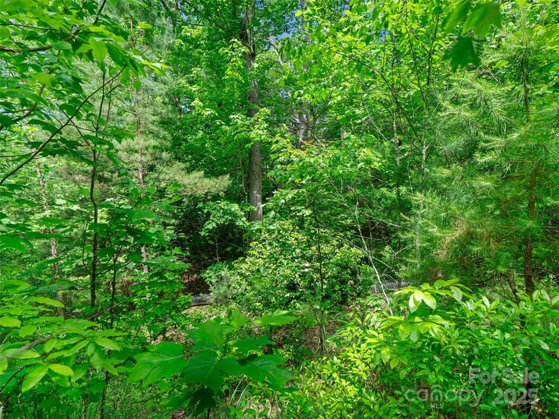 99999 Millbrae Loop, Hendersonville, NC 28791