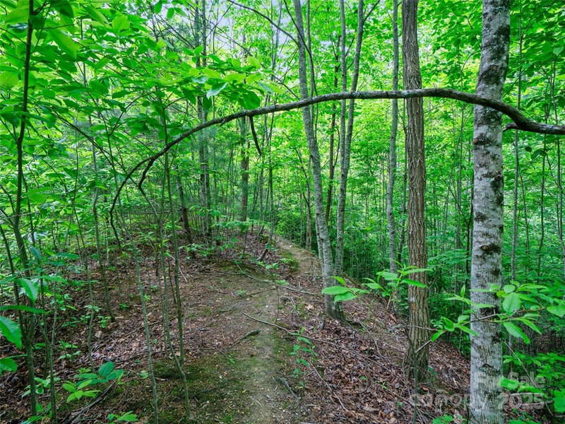 99999 Millbrae Loop, Hendersonville, NC 28791