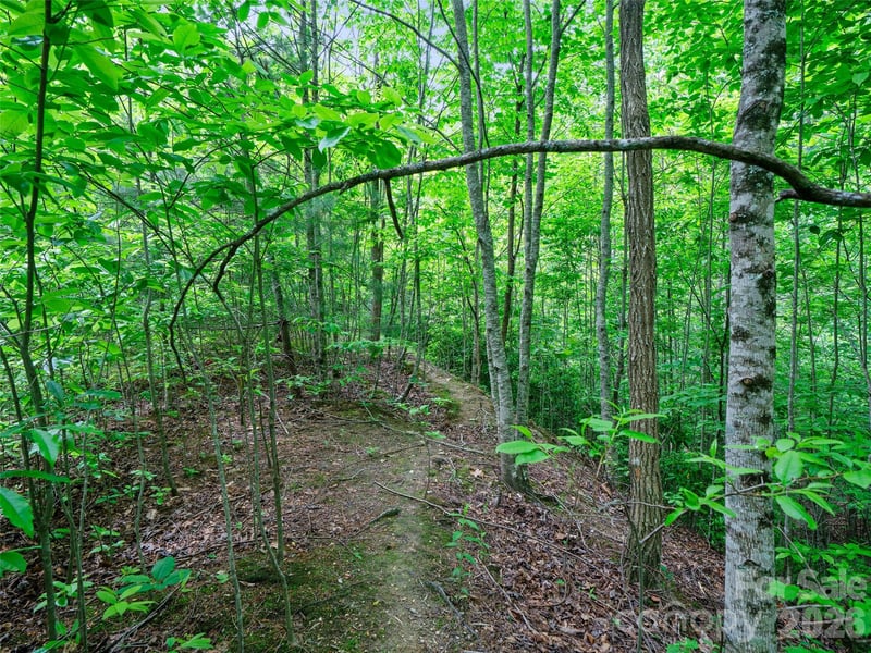 99999 Millbrae Loop, Hendersonville, NC 28791